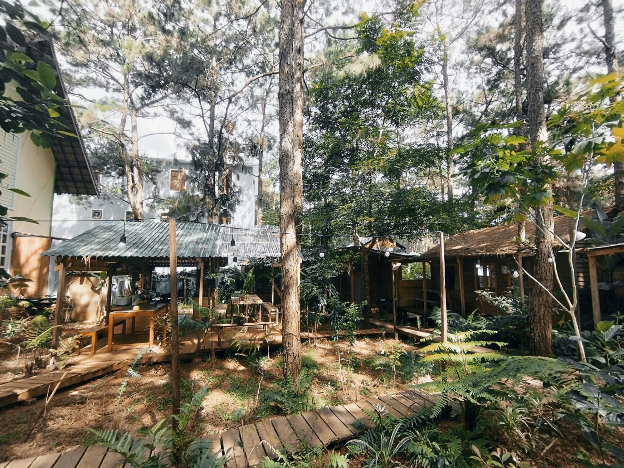 La Maison Homestay Mang Den Kon Tum Exteriör bild