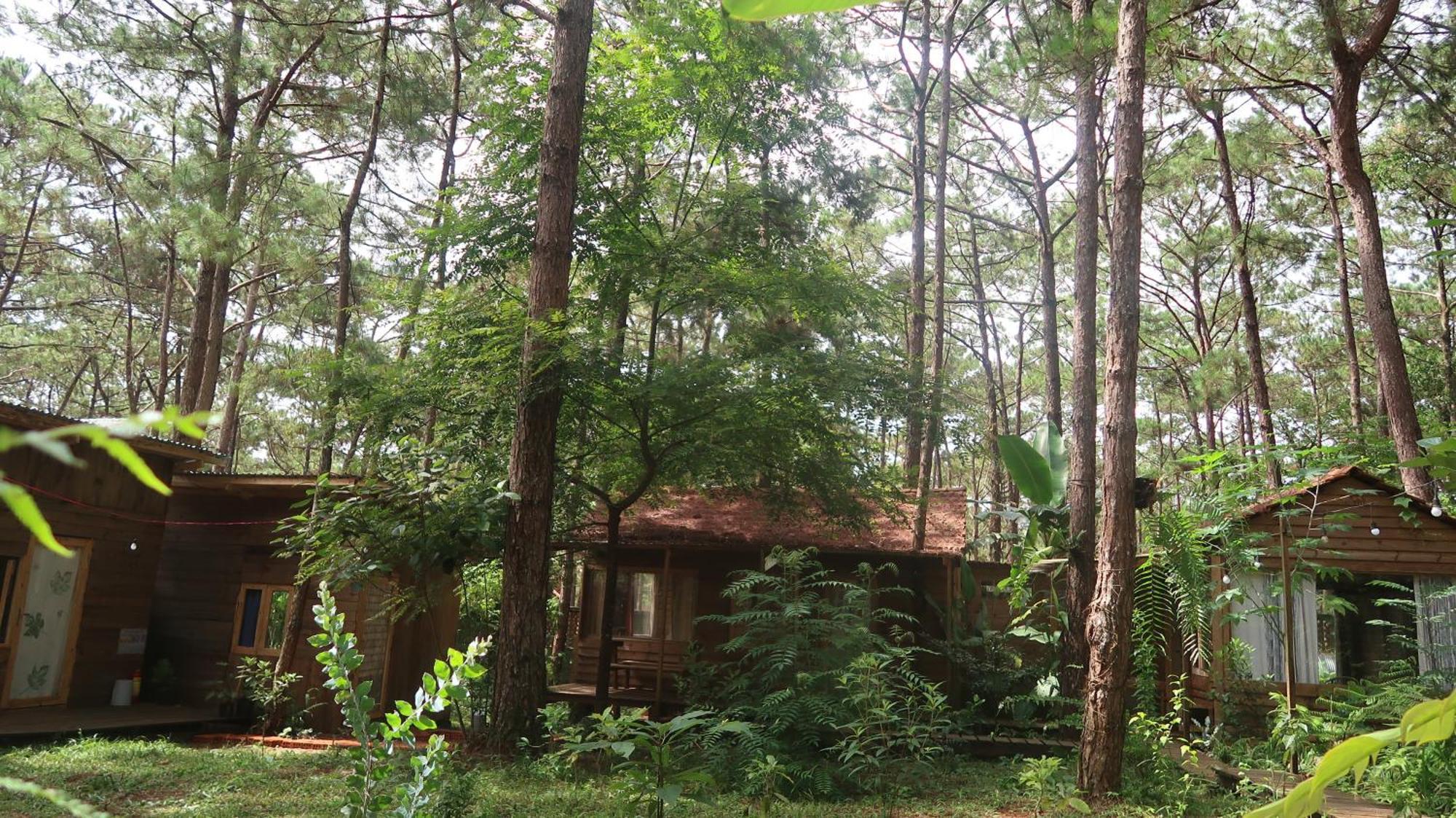 La Maison Homestay Mang Den Kon Tum Exteriör bild