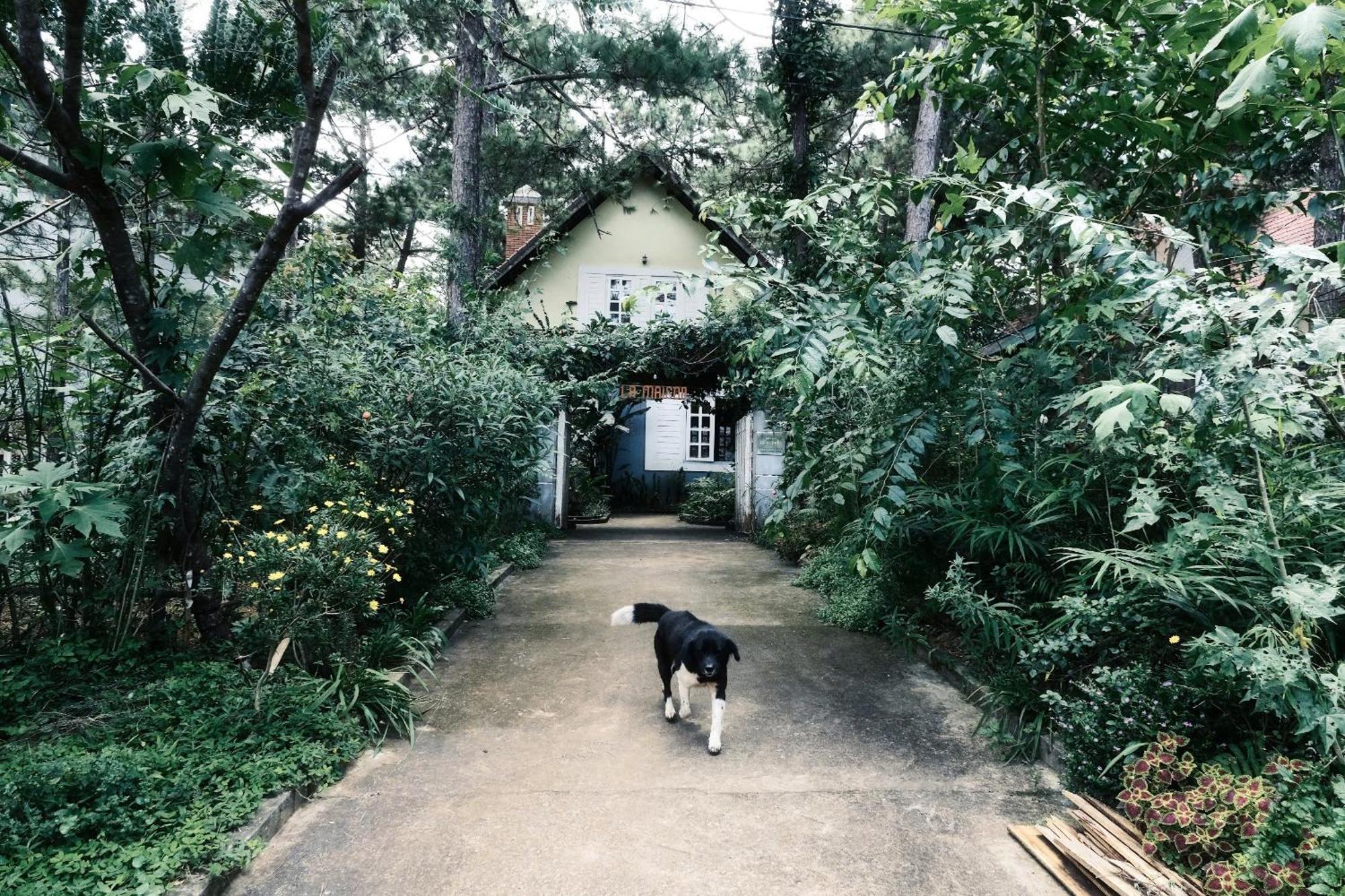 La Maison Homestay Mang Den Kon Tum Exteriör bild